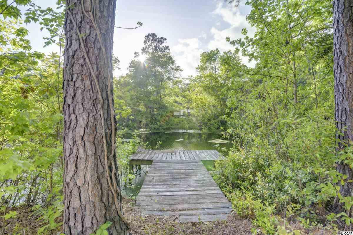 20 Bluewater Lane Murrells Inlet, SC 29576 - Photo 21 of 30 Gallery Image 21