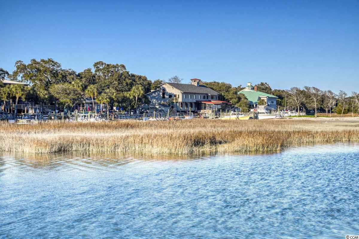 20 Bluewater Lane Murrells Inlet, SC 29576 - Photo 28 of 30 Gallery Image 28