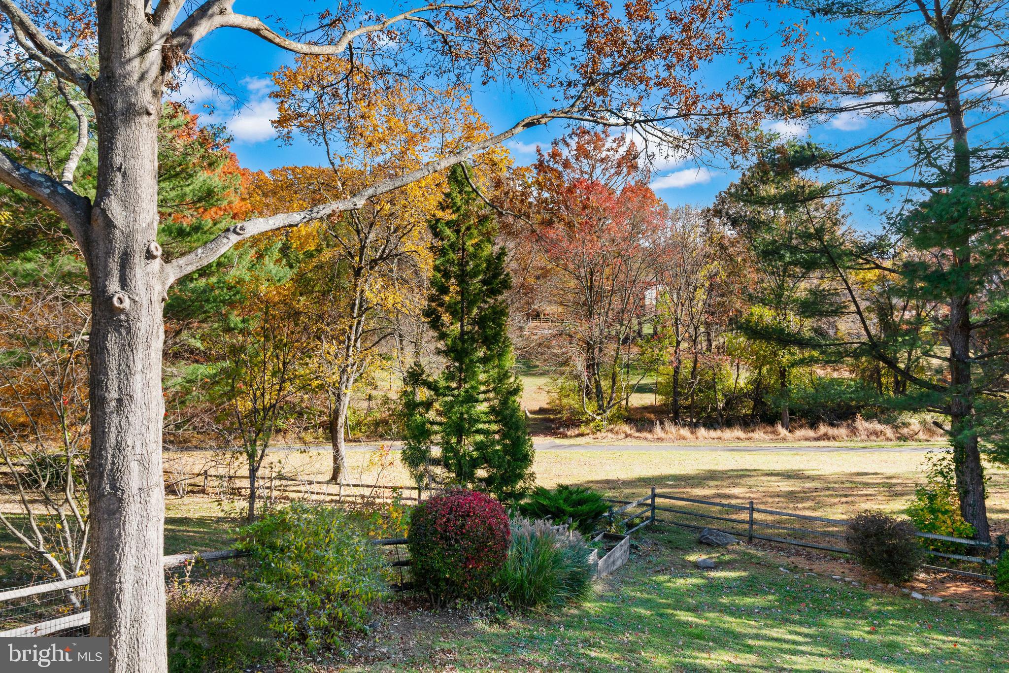 3504 Falling Green Road Olney, MD 20832 - Photo 3 of 54 a view of yard with tree