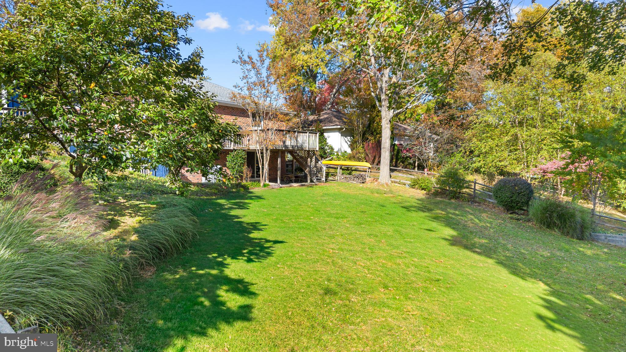 3504 Falling Green Road Olney, MD 20832 - Photo 49 of 54 a view of a yard with plants and large trees