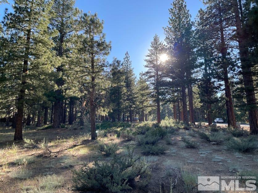 17080 Evergreen Street Reno, NV 89521 - Photo 1 of 8 Photo 1