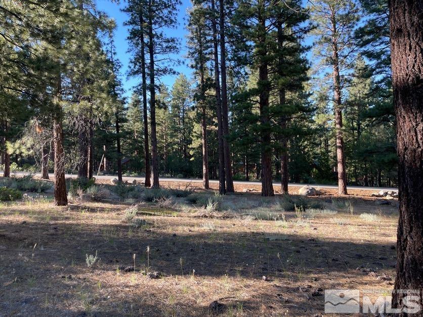 17080 Evergreen Street Reno, NV 89521 - Photo 3 of 8 Photo 3