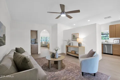 a living room with furniture a rug potted plant and a fireplace