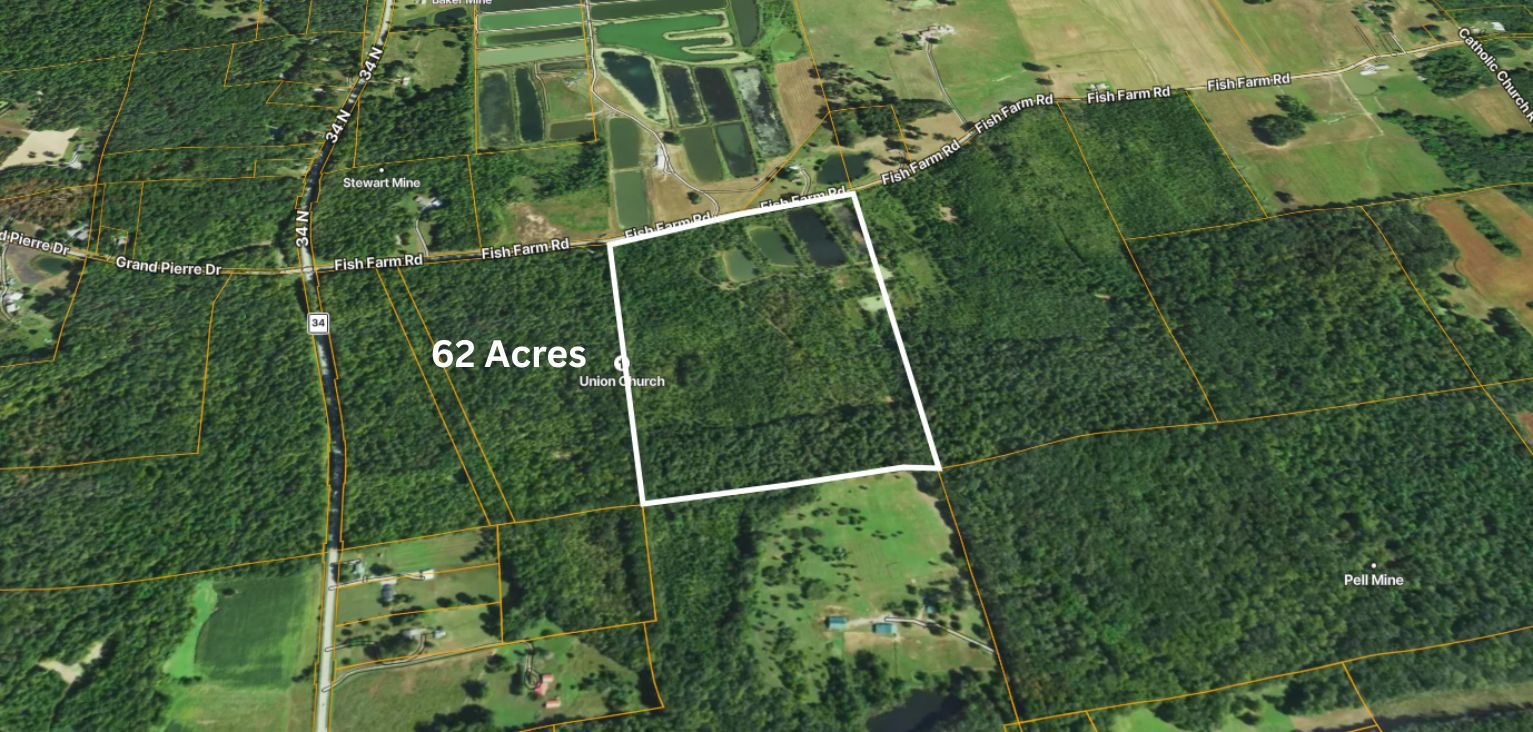 40 Fish Farm Road Golconda, IL 62938 - Photo 10 of 18