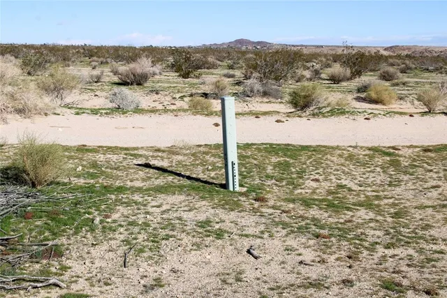 a view of a dry yard with mountains in the background