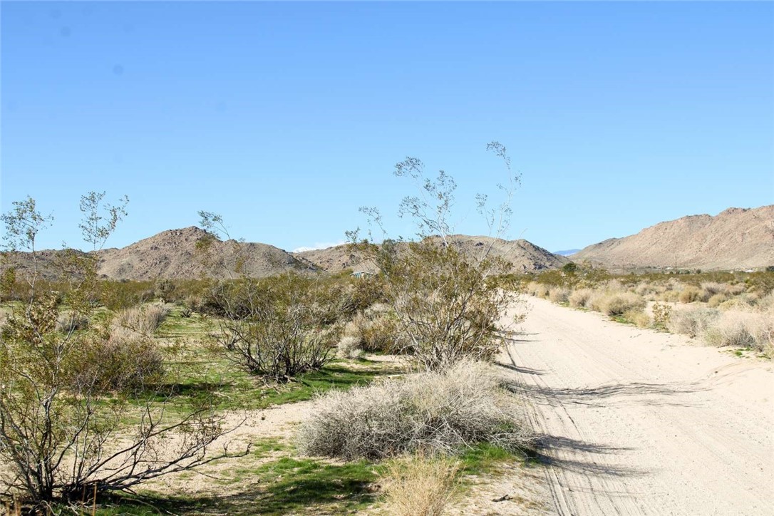 62999 East Broadway Joshua Tree, CA 92252 - Photo 17 of 23 a view of mountain