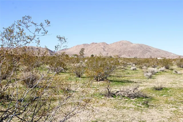 a view of lake and mountain