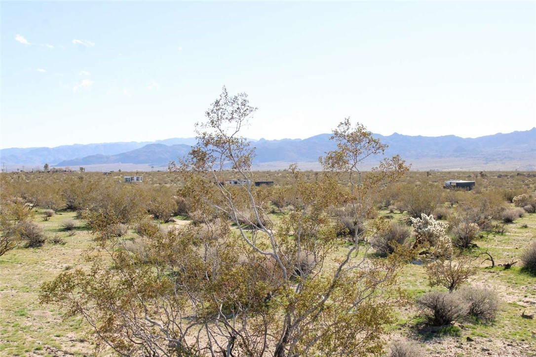 62999 East Broadway Joshua Tree, CA 92252 - Photo 8 of 23 an aerial view of mountain with trees