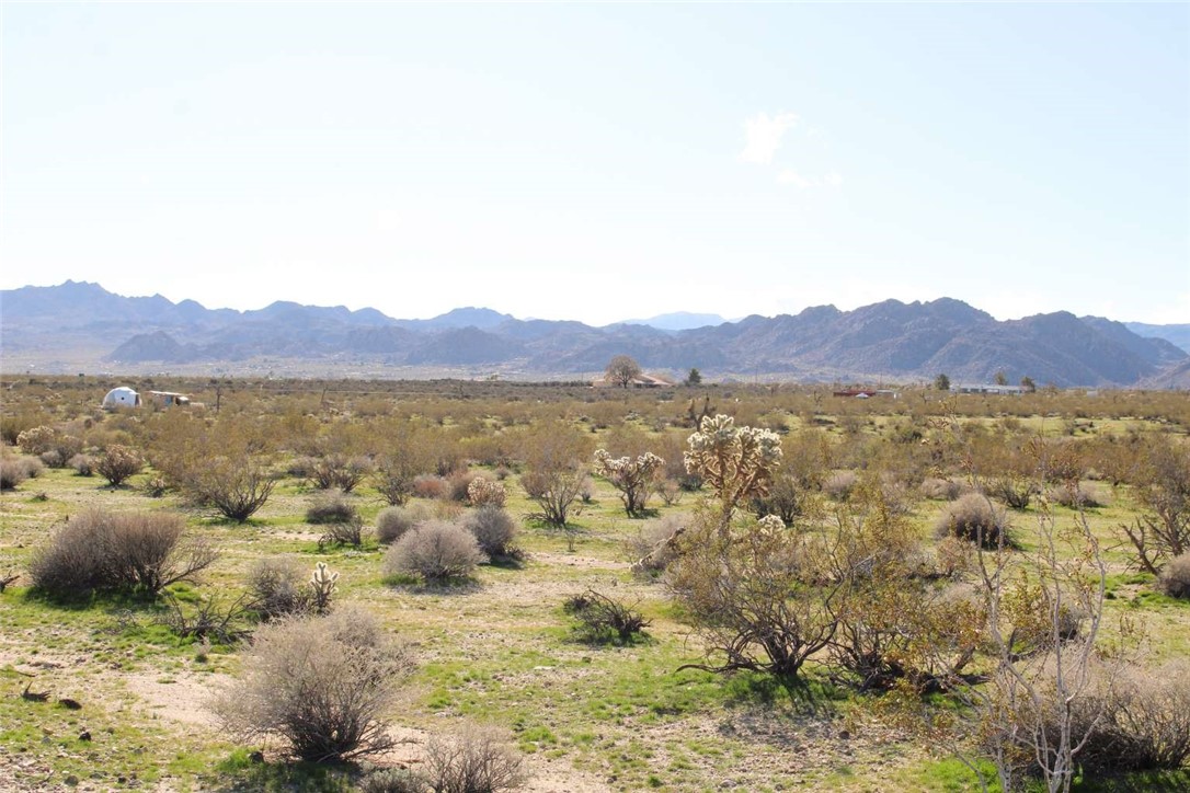 62999 East Broadway Joshua Tree, CA 92252 - Photo 9 of 23 a view of a mountain in the distance in a field