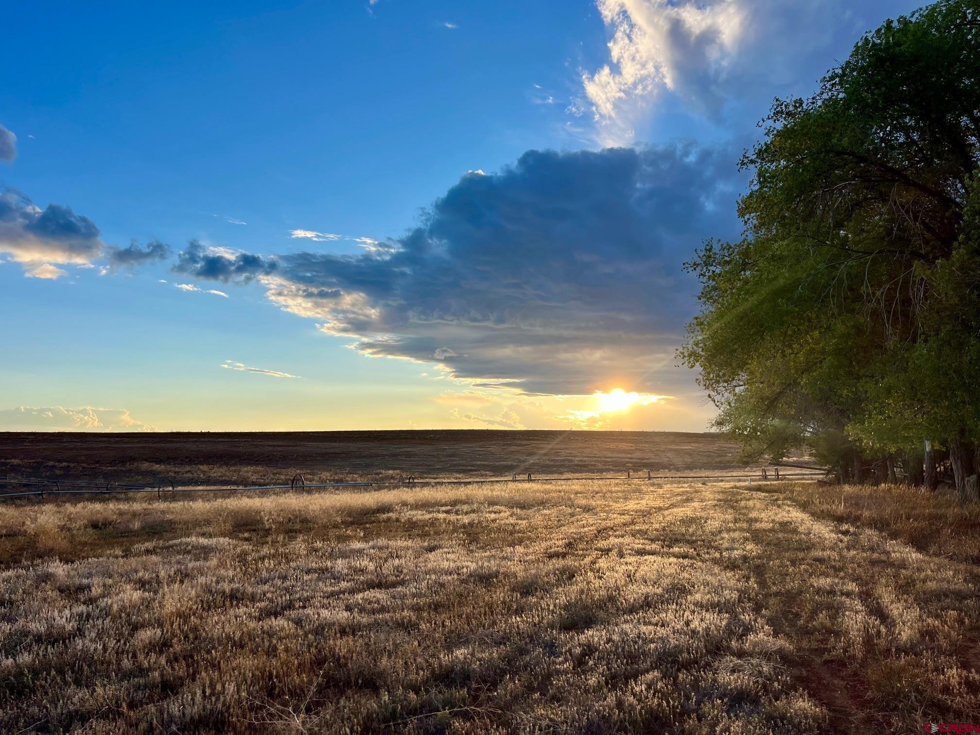 a view of an ocean and beach