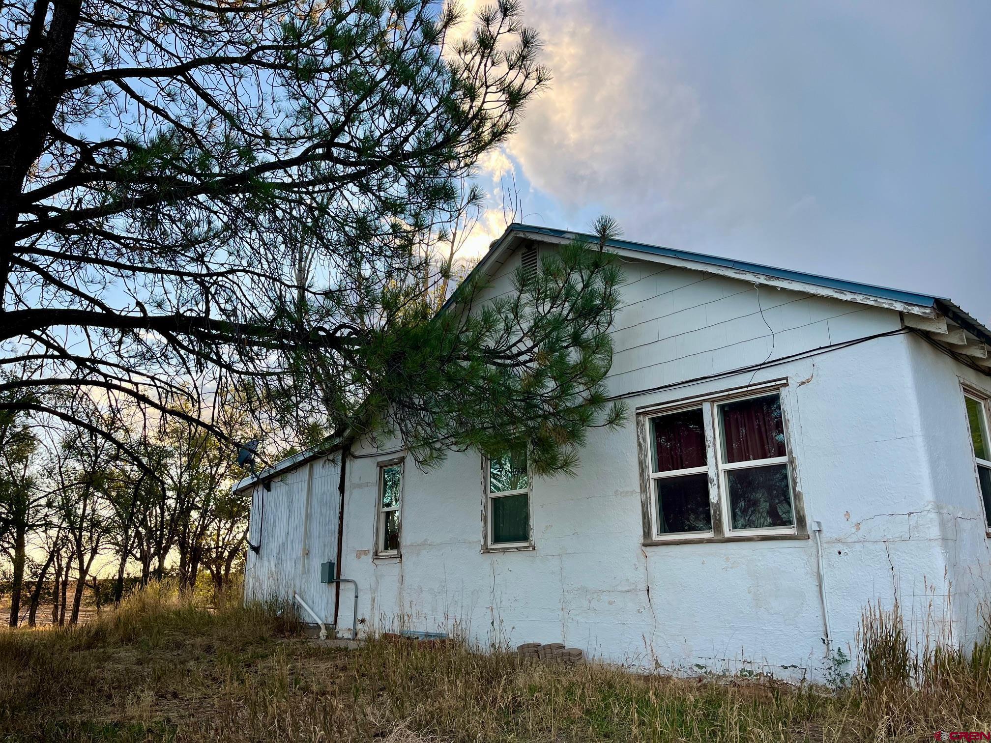 Tbd Tbd 17th Road Yellow Jacket, CO 81335 - Photo 5 of 17 front view of a house with a tree