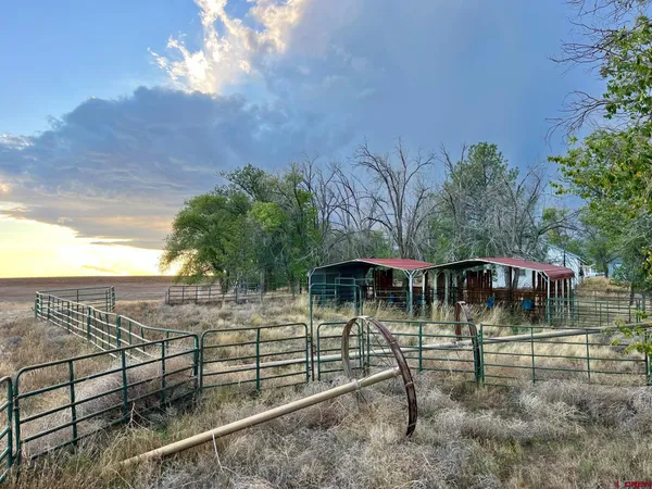 a view of swimming pool with outdoor seating and plants