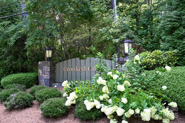 a bunch of flowers in front of garden