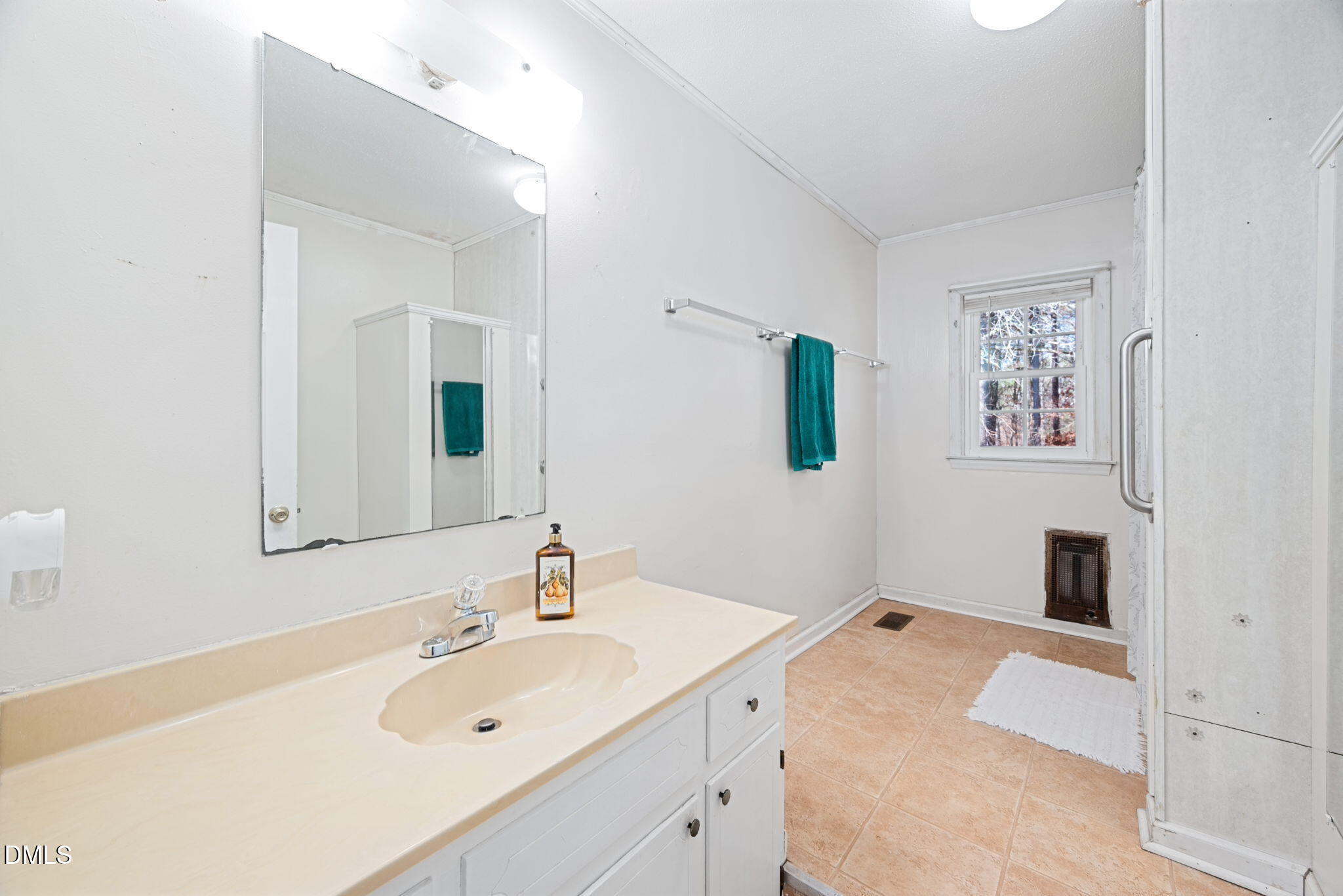 1804 Gade Bryant Road Moncure, NC 27559 - Photo 21 of 38 a bathroom with a sink and a mirror