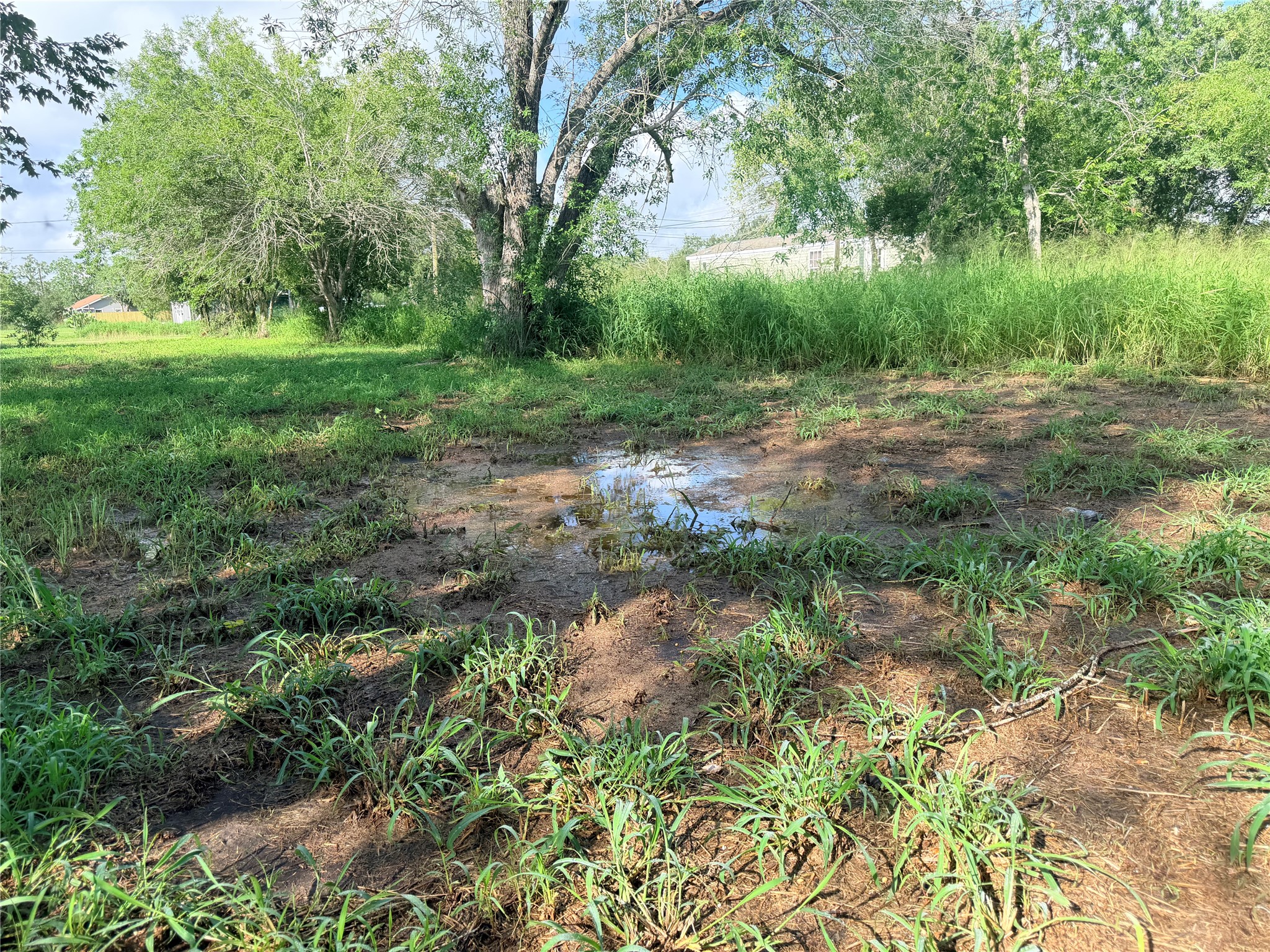 507 East Ward Street Refugio, TX 78377 - Photo 9 of 10