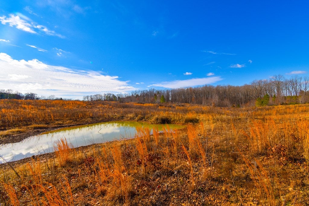 Old Jones Road Dillwyn, VA 23936 - Photo 4 of 13 Gallery Image 4