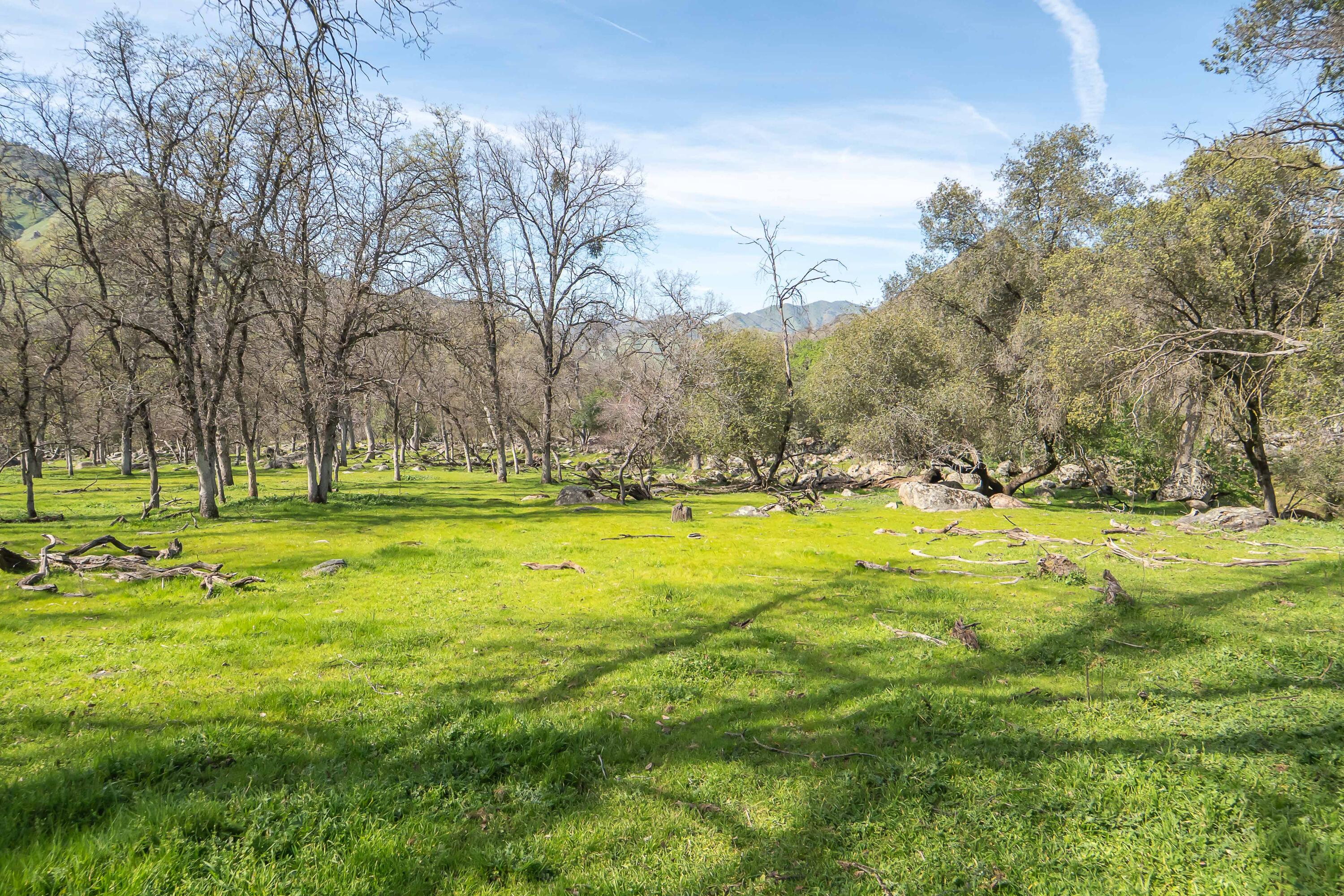 44294 Sequoia Oaks Drive Three Rivers, CA 93271 - Photo 103 of 118 -