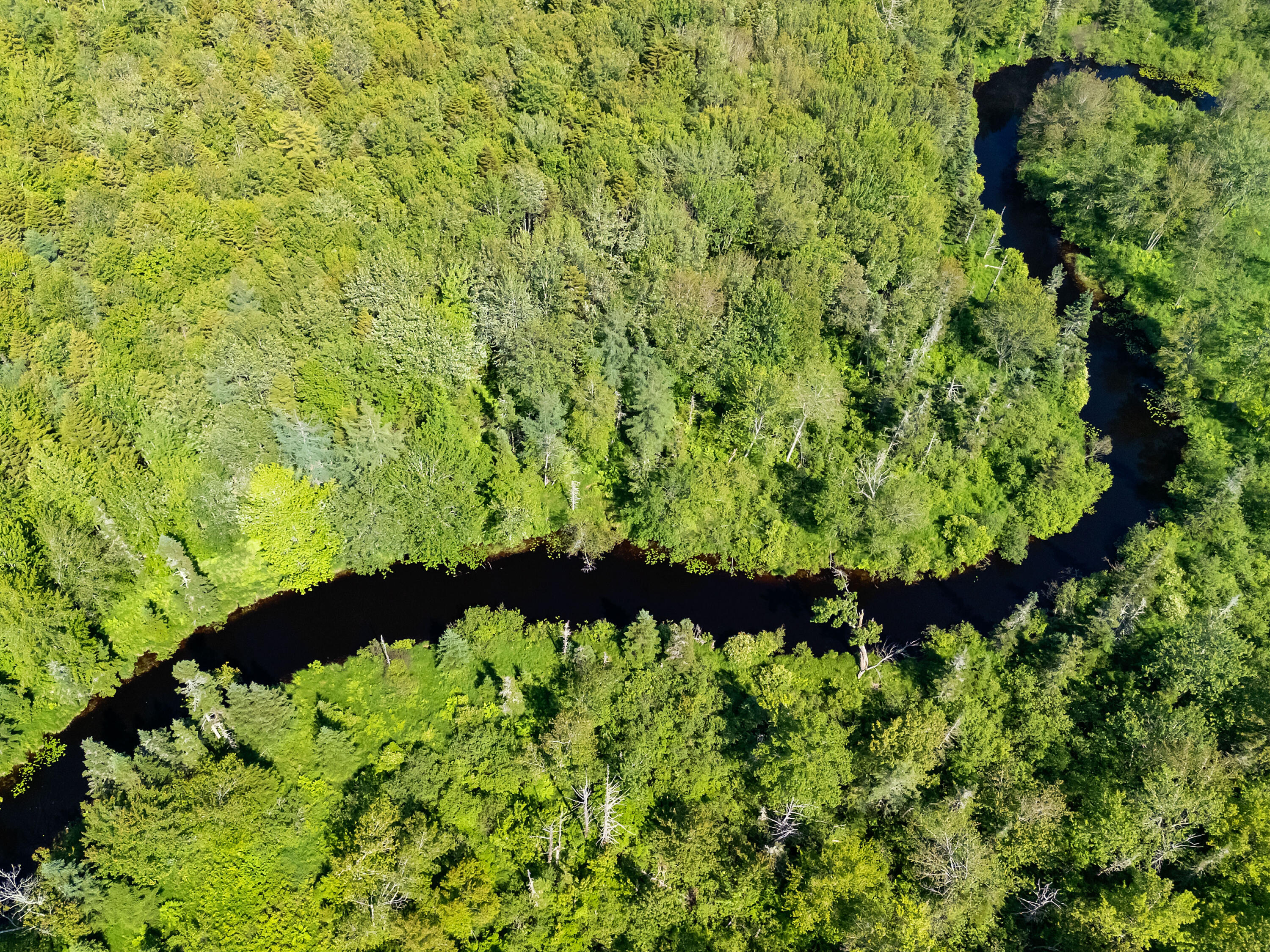 12 Burns Drive Friendship, ME 04547 - Photo 5 of 55 DJI_20250621153110_0240_D