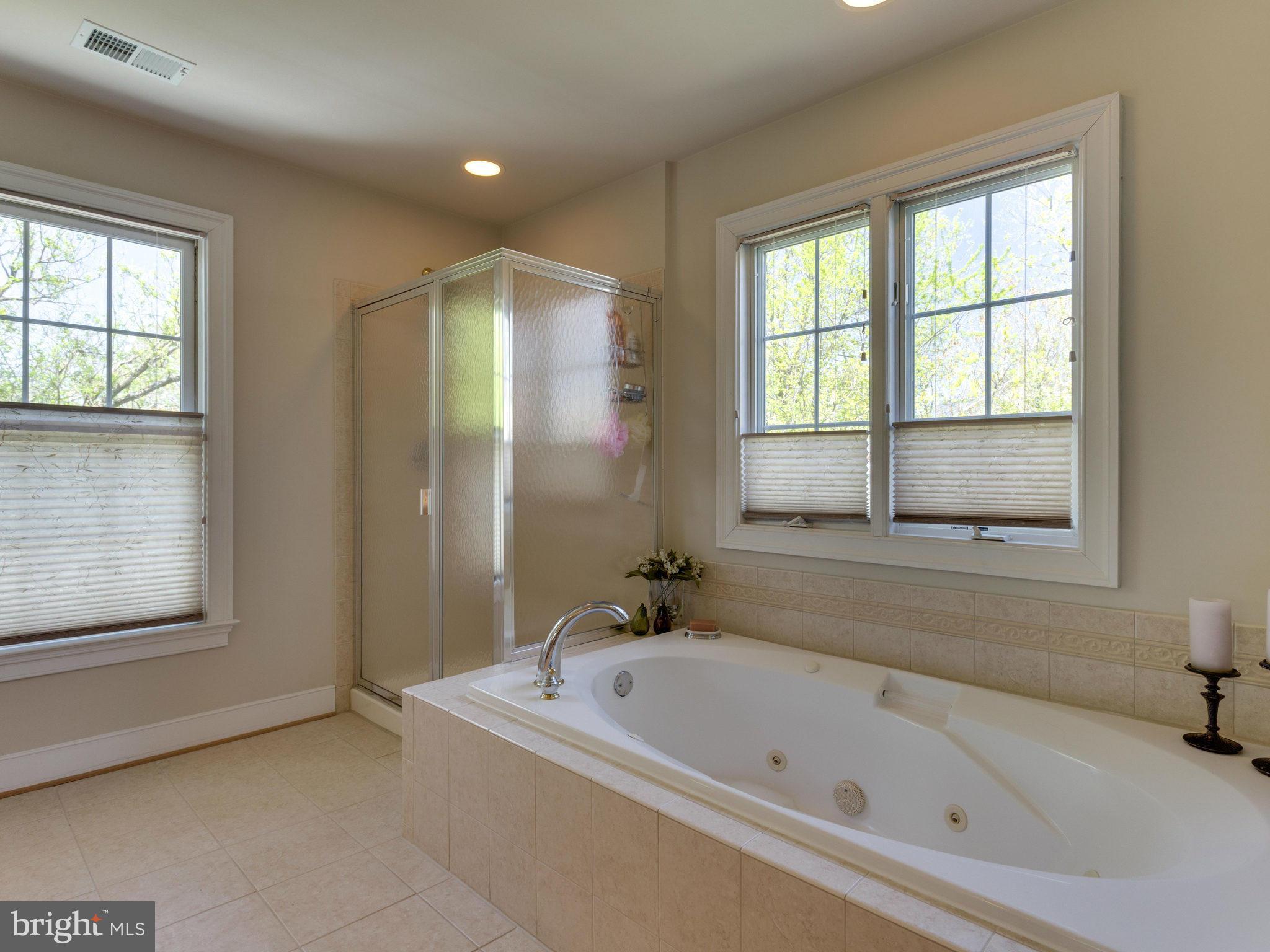 1912 Corliss Court McLean, VA 22101 - Photo 22 of 30 Bath (Master)