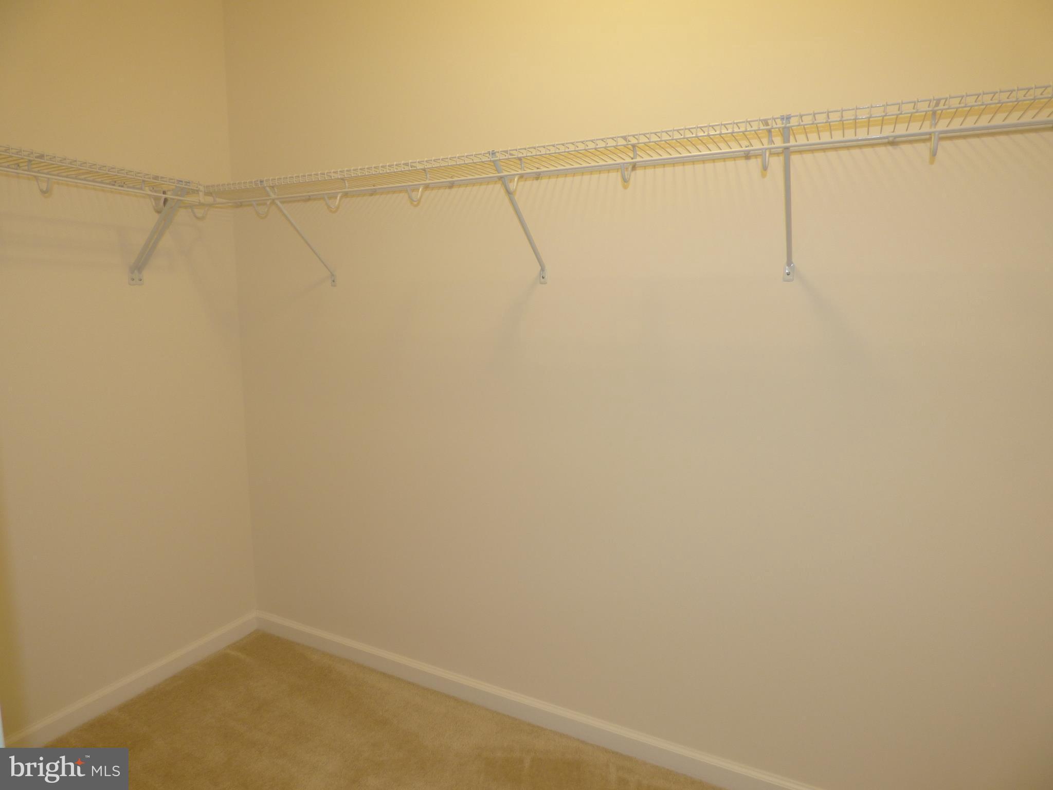 1428 Ribbon Limestone Terrace Southeast, Unit 108 Leesburg, VA 20175 - Photo 23 of 27 2 large closets in the master bedroom