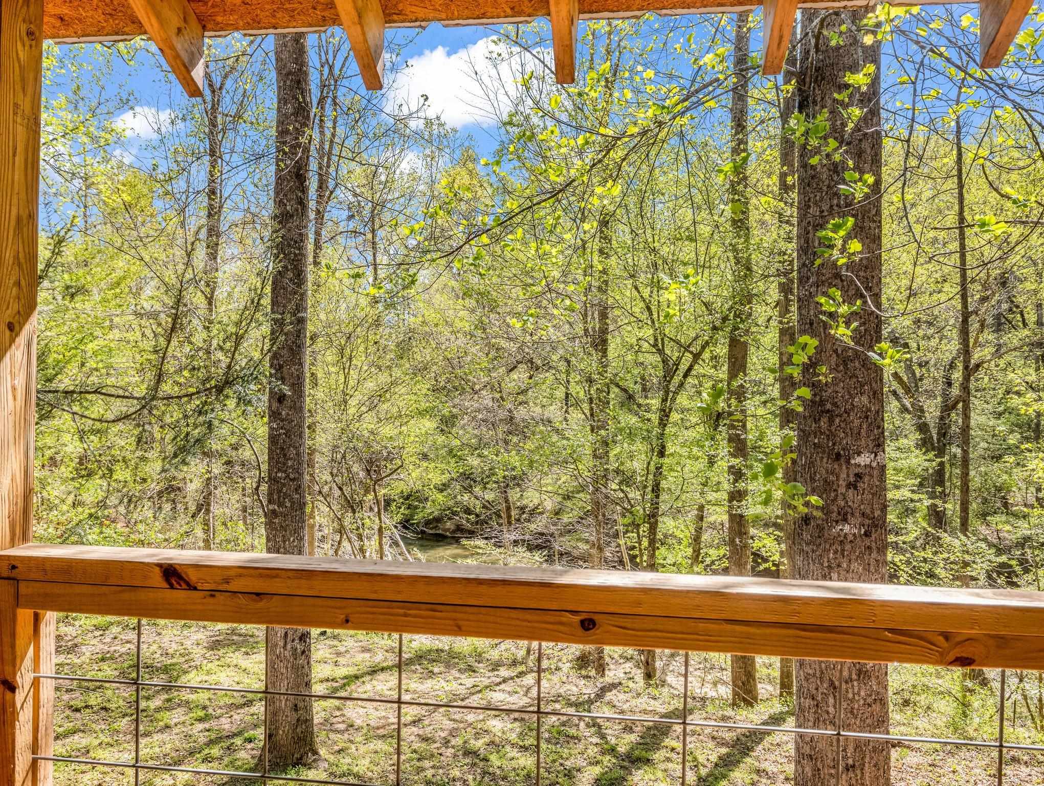 147 Cove Hollow Road Rutherfordton, NC 28139 - Photo 17 of 46 Gallery Image 17