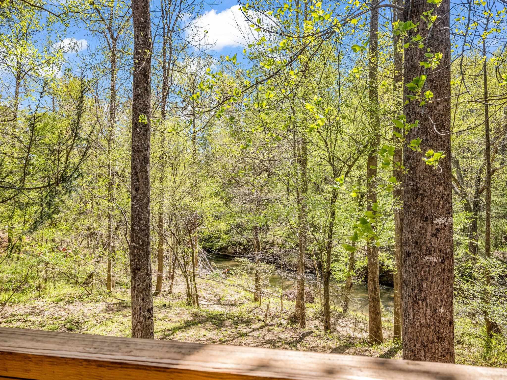 147 Cove Hollow Road Rutherfordton, NC 28139 - Photo 18 of 46 Gallery Image 18