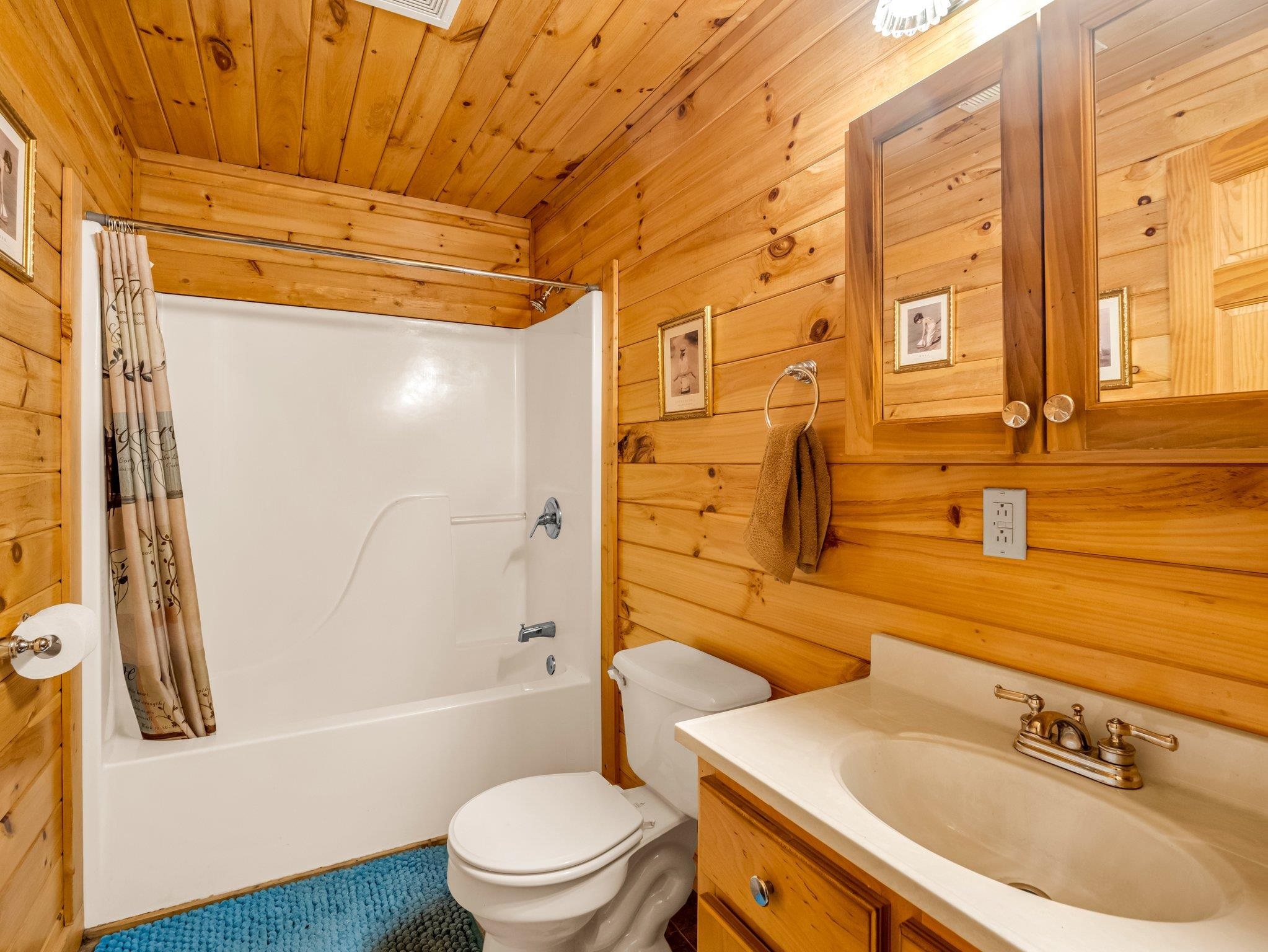 147 Cove Hollow Road Rutherfordton, NC 28139 - Photo 34 of 46 Gallery Image 34