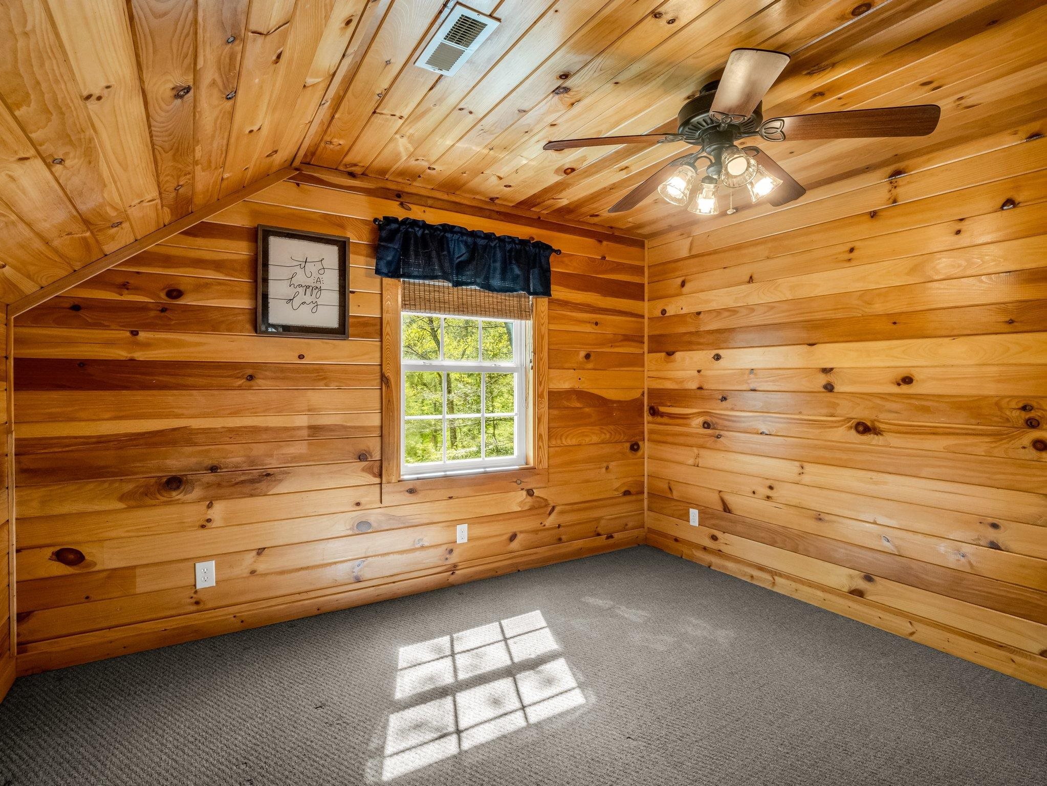 147 Cove Hollow Road Rutherfordton, NC 28139 - Photo 35 of 46 Gallery Image 35