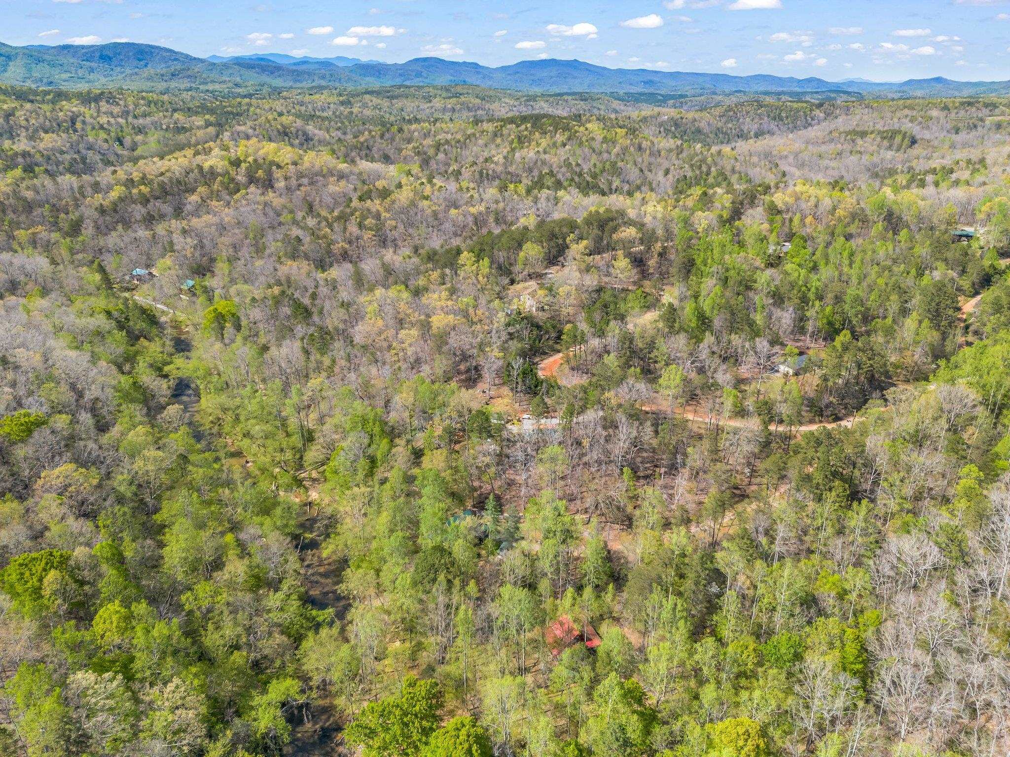 147 Cove Hollow Road Rutherfordton, NC 28139 - Photo 39 of 46 Gallery Image 39