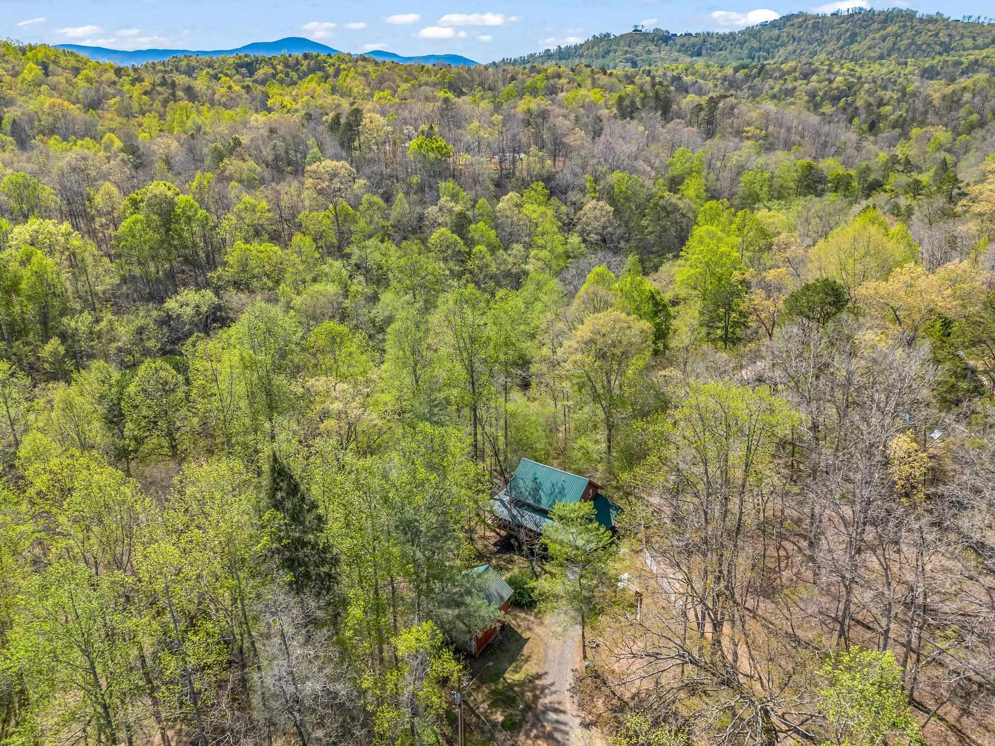 147 Cove Hollow Road Rutherfordton, NC 28139 - Photo 42 of 46 Gallery Image 42