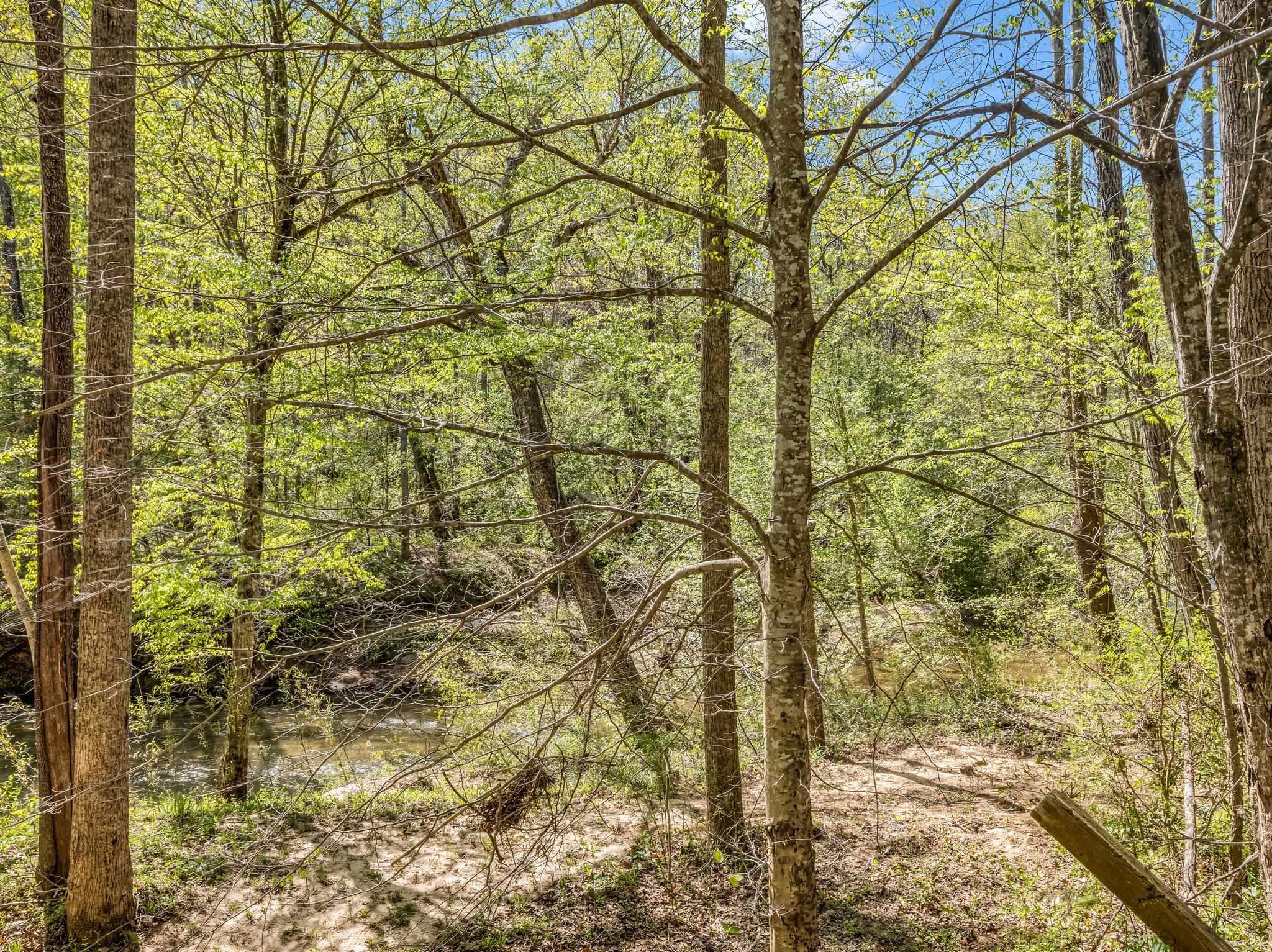147 Cove Hollow Road Rutherfordton, NC 28139 - Photo 43 of 46 Gallery Image 43