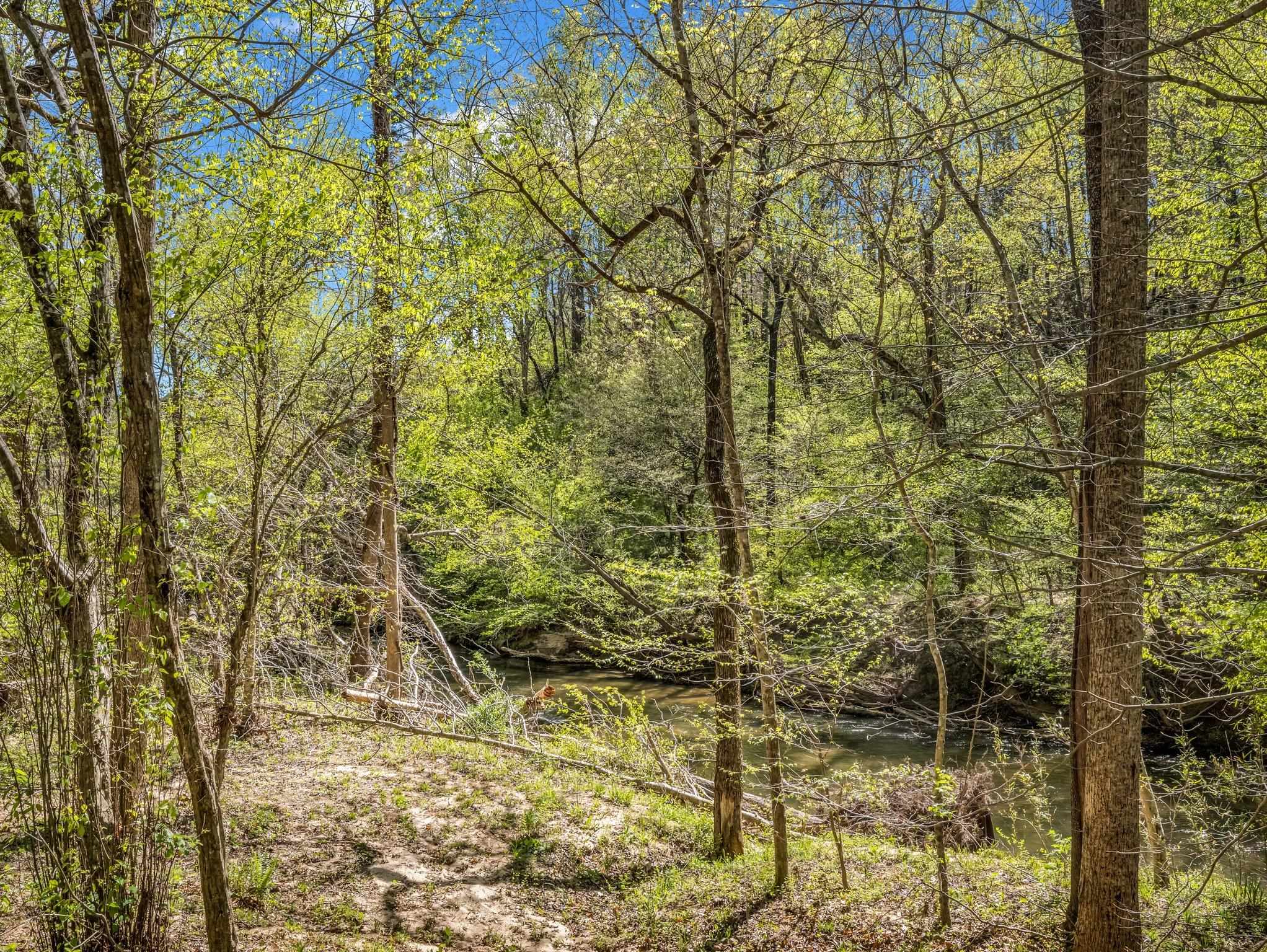 147 Cove Hollow Road Rutherfordton, NC 28139 - Photo 44 of 46 Gallery Image 44