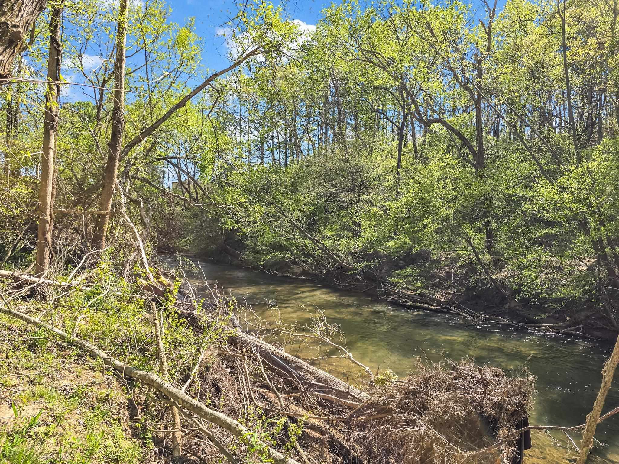 147 Cove Hollow Road Rutherfordton, NC 28139 - Photo 45 of 46 Gallery Image 45