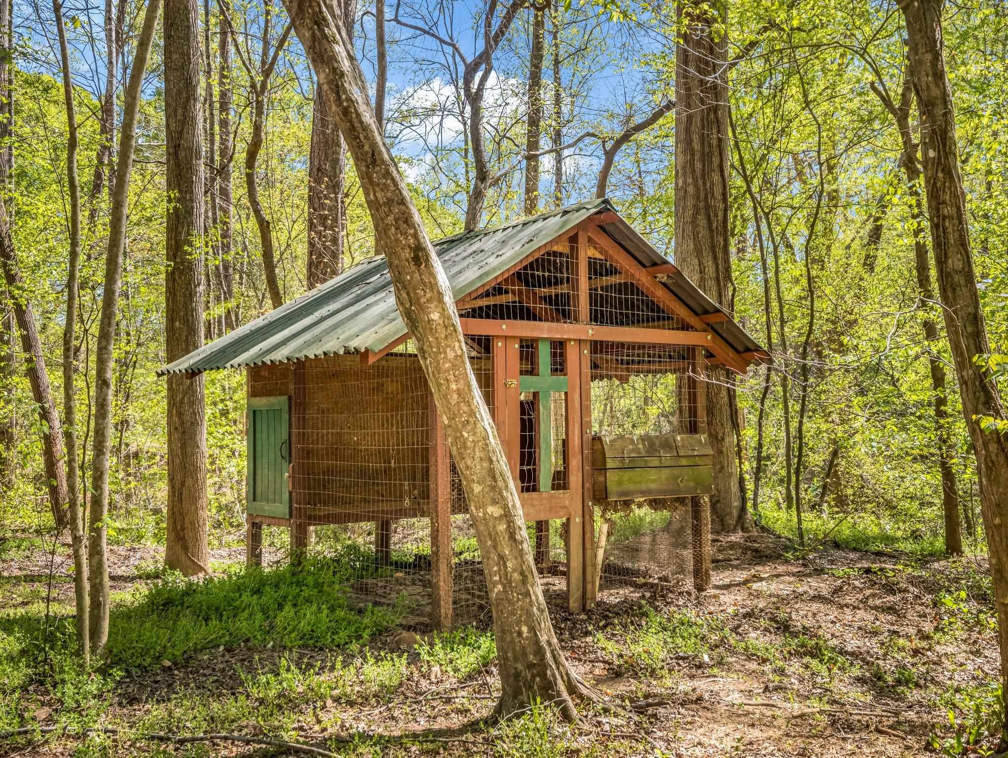 147 Cove Hollow Road Rutherfordton, NC 28139 - Photo 8 of 46 Gallery Image 8