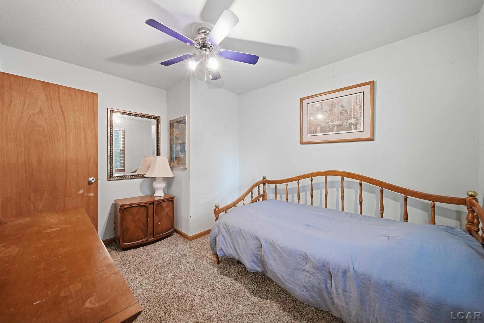 295 Ridgeway Drive Brooklyn, MI 49230 - Photo 16 of 49