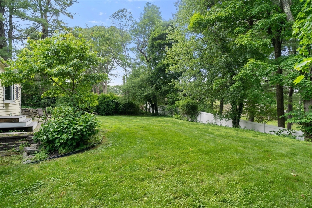 61 Conant Road Westwood, MA 02090 - Photo 11 of 12 a view of a backyard with large trees
