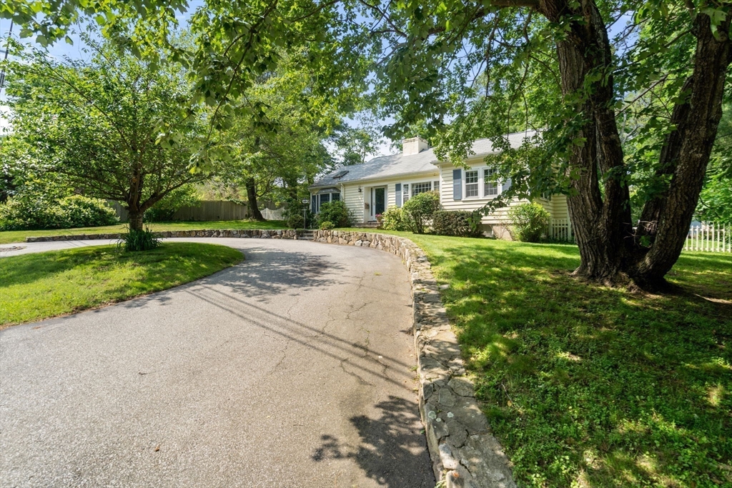 61 Conant Road Westwood, MA 02090 - Photo 4 of 12 a front view of a house with yard and green space