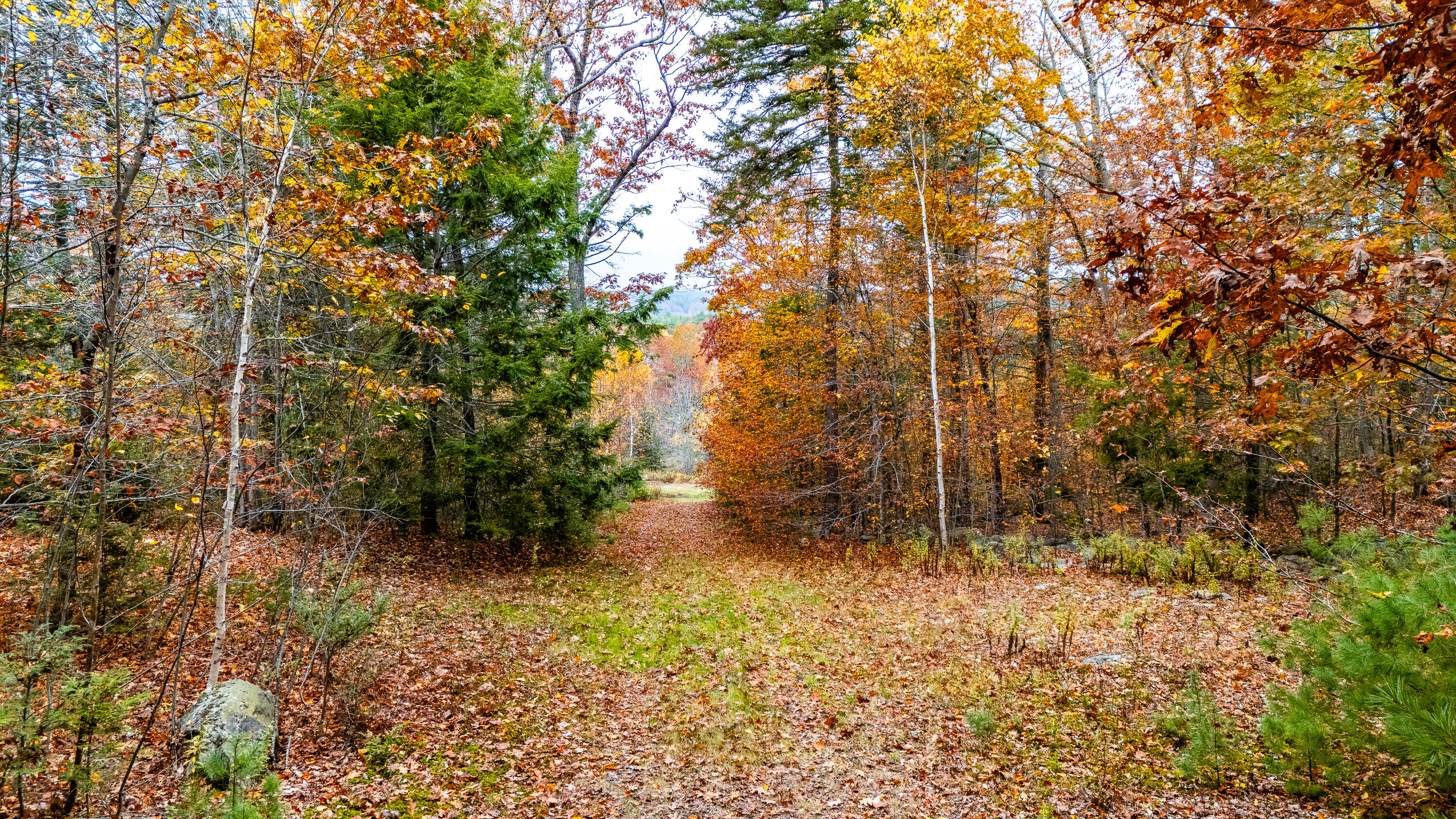 Lot#4 Bay View Trail Edgecomb, ME 04556 - Photo 21 of 48