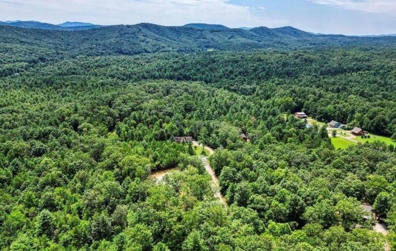 199 Lola Mae Way Morganton, GA 30560 - Photo 37 of 39 a view of a forest with a lush green hillside