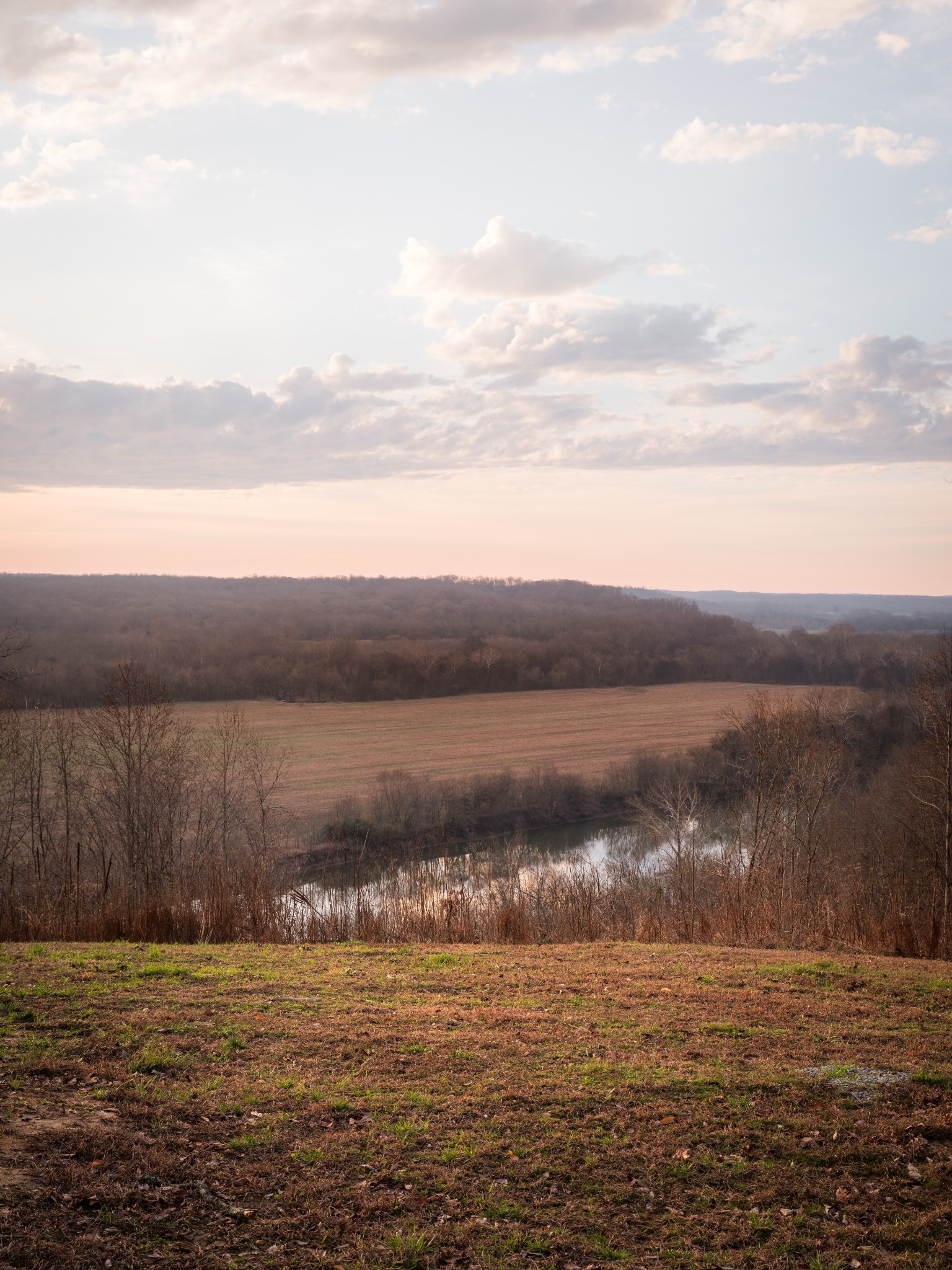 7050 Bakerville Road Waverly, TN 37185 - Photo 34 of 53 a view of a lake from a yard