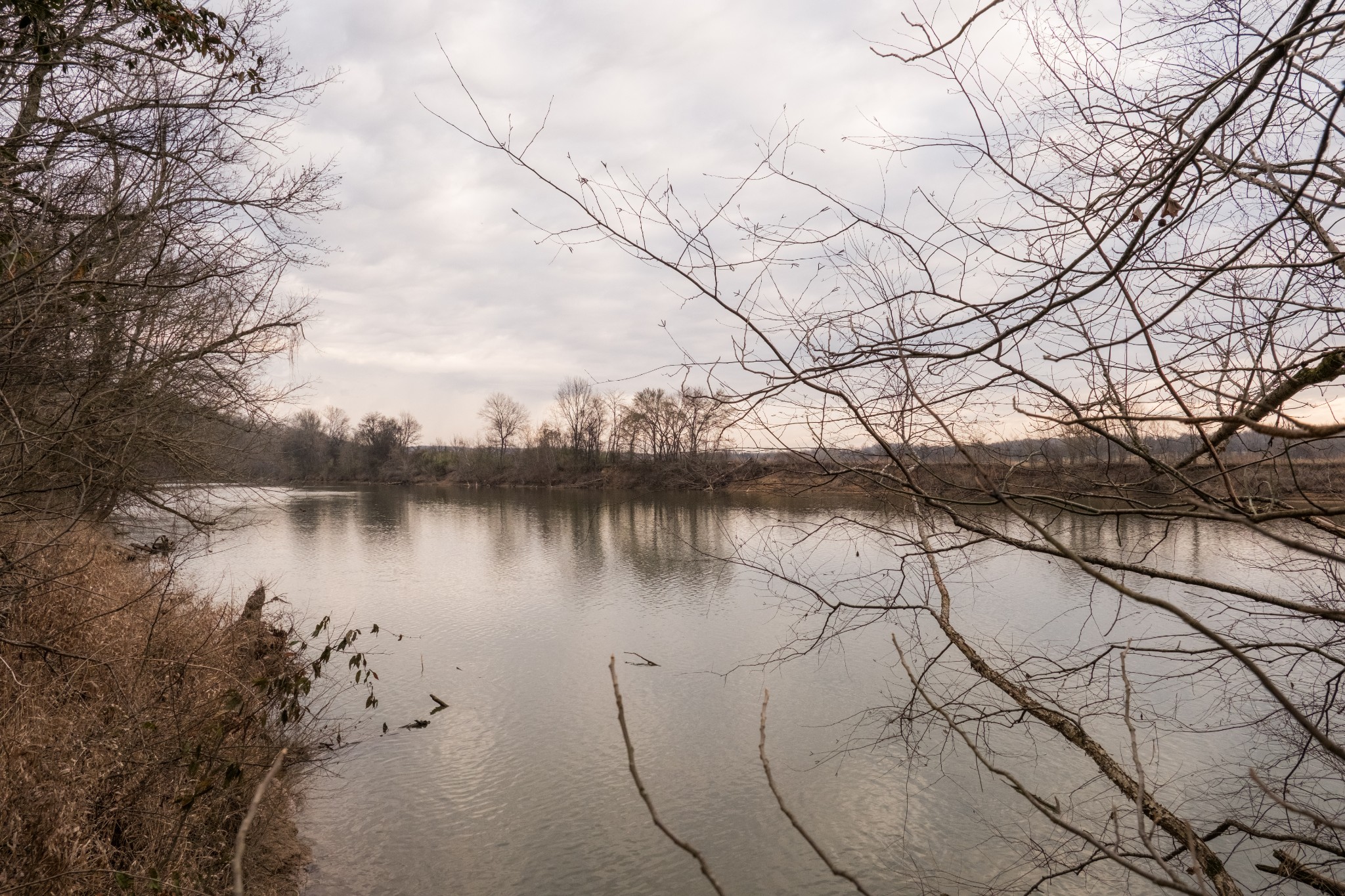 7050 Bakerville Road Waverly, TN 37185 - Photo 36 of 53 a view of lake