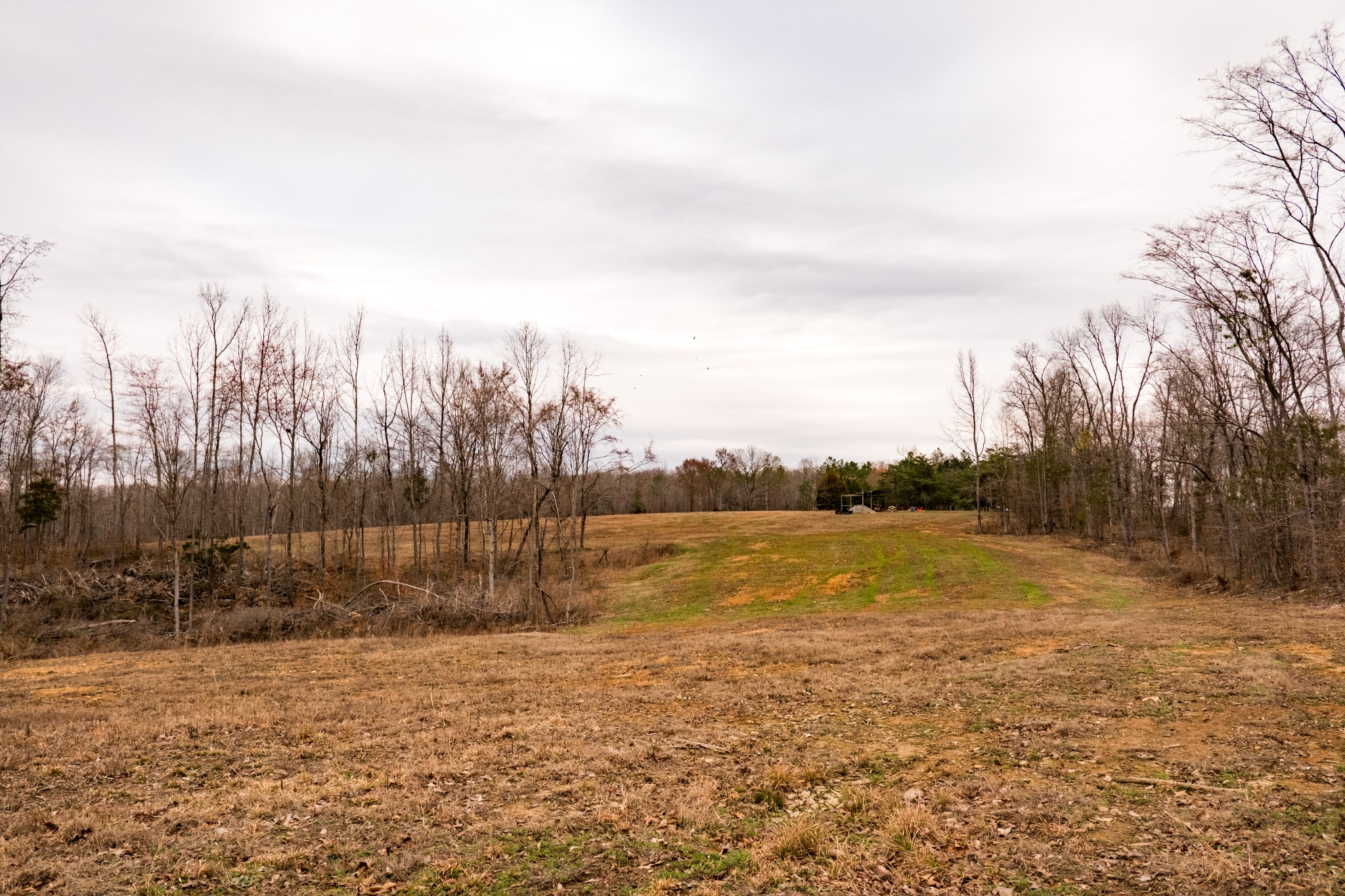 7050 Bakerville Road Waverly, TN 37185 - Photo 46 of 53 a view of an outdoor space and trees