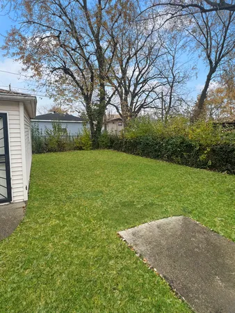 a view of a backyard with large trees