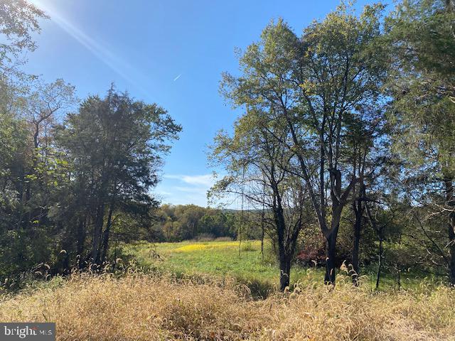 Lot 15 Mountain Ridge Way Culpeper, VA 22701 - Photo 1 of 3 Lot 15 has short pipe stem access then opens up