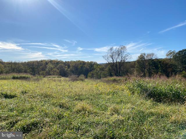 Lot 15 Mountain Ridge Way Culpeper, VA 22701 - Photo 2 of 3 Lot 15 is 11.5 ac w/ 5bedroom drain field design