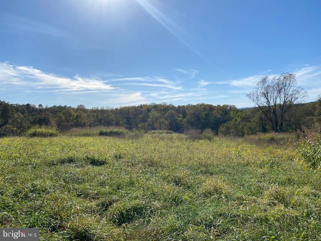 Lot 15 Mountain Ridge Way Culpeper, VA 22701 - Photo 3 of 3 Lot 15 gorgeous views
