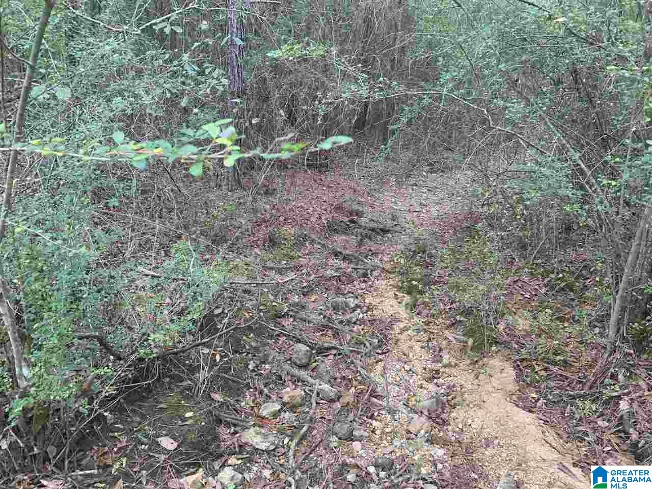 0 Homestead Drive, Unit 1 Springville, AL 35146 - Photo 15 of 32