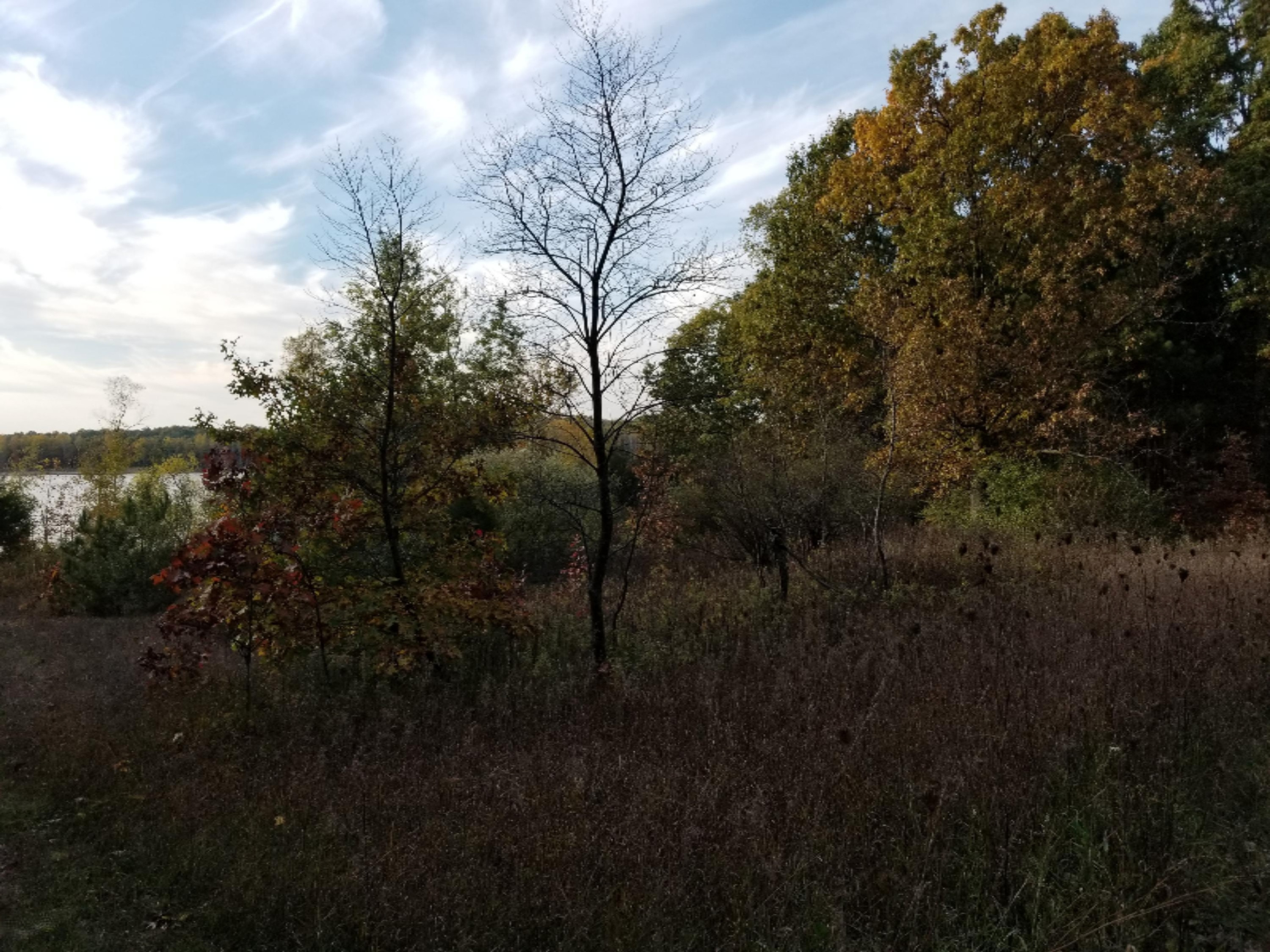 Parcel B Ranney Road Greenville, MI 48838 - Photo 7 of 9 20171020_170952