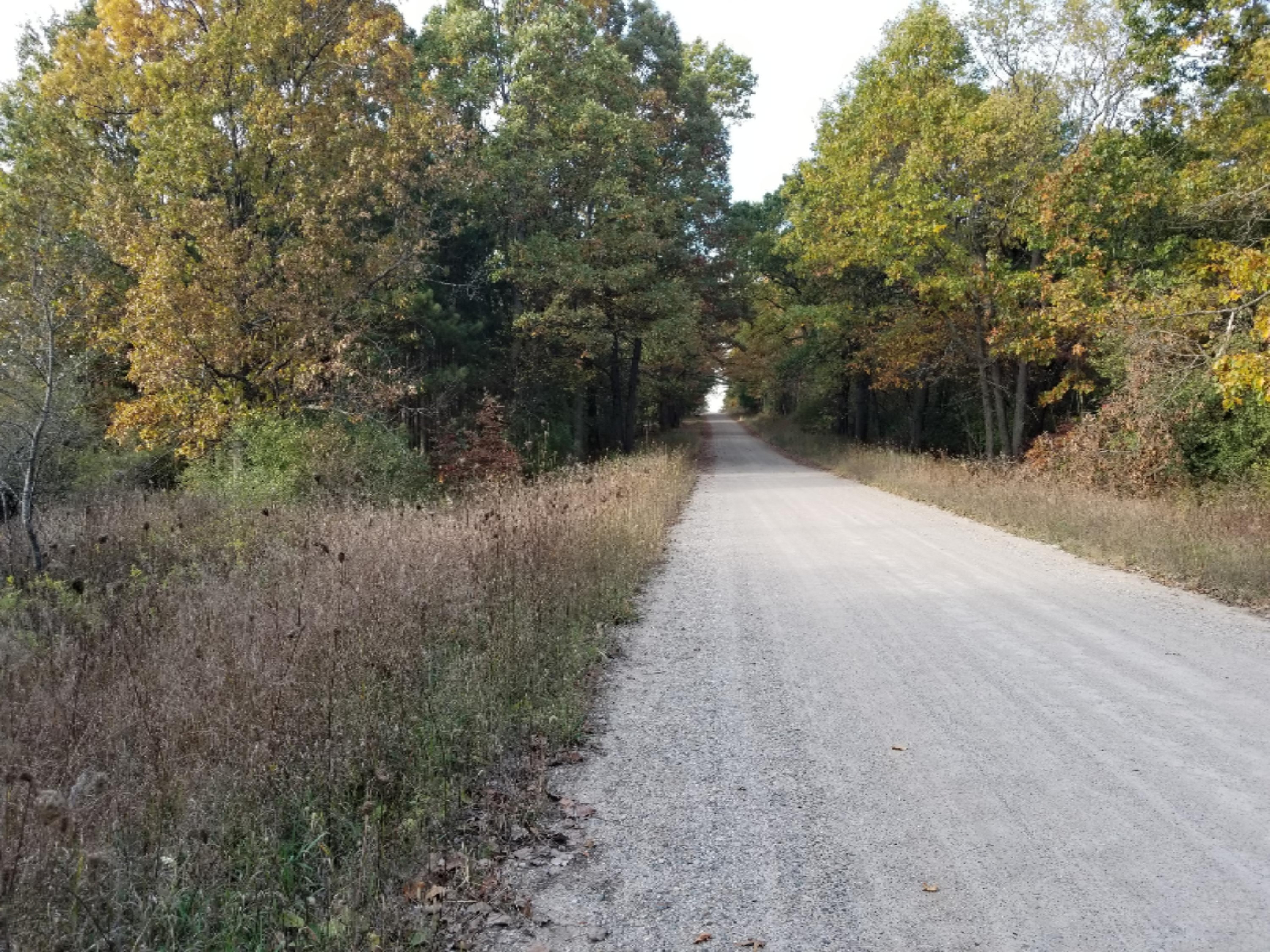 Parcel B Ranney Road Greenville, MI 48838 - Photo 9 of 9 20171020_171044