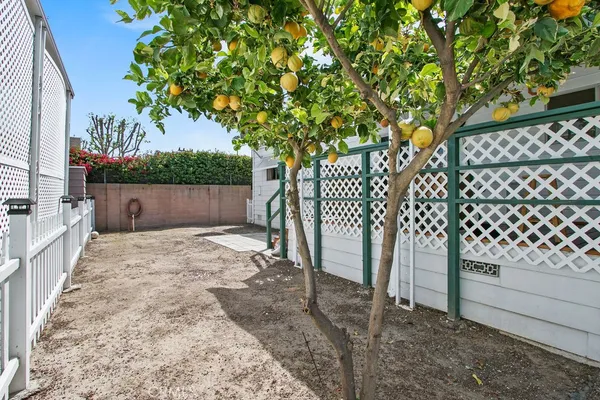 a view of a yard with wooden fence